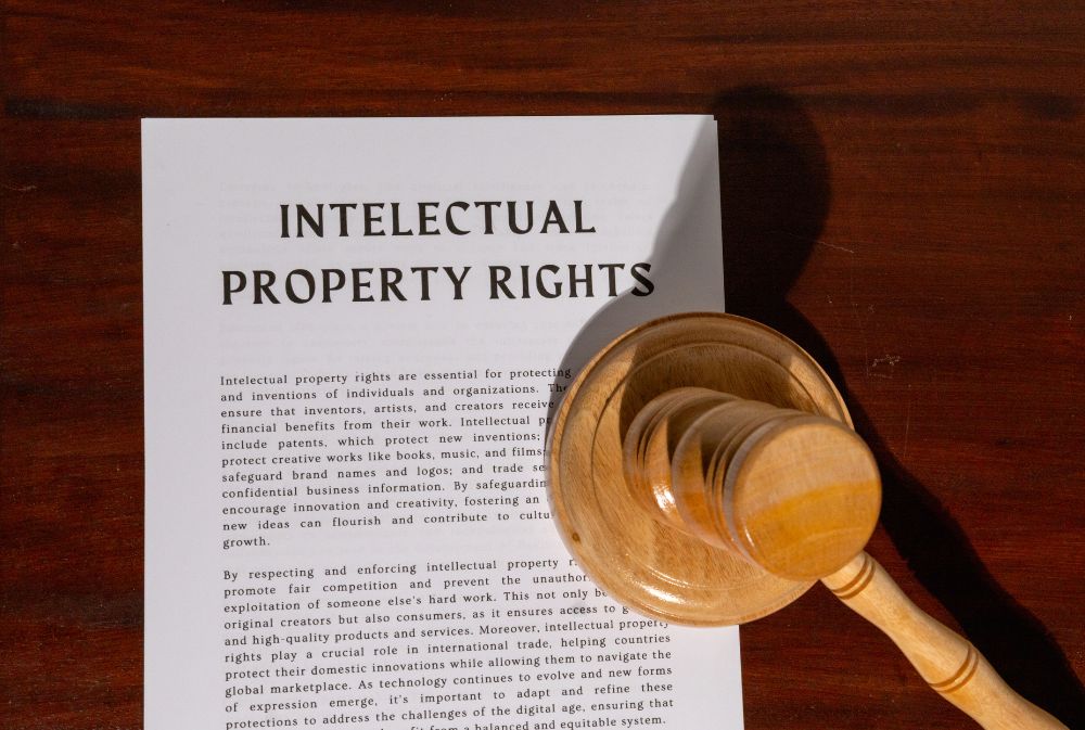 Intellectual Property Law and Innovation Protection
